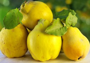 CONFITURE DE COINGS DE MÉMÉ HÉLÈNE CONFITURE DE COINGS DE MÉMÉ HÉLÈNE